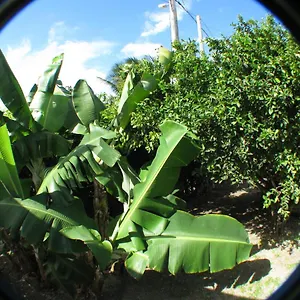 https://le-temps-dune-ile.comcaribbean.com